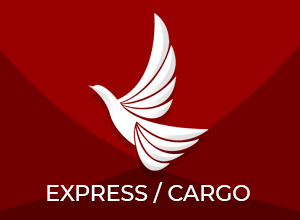 Express Flight Image